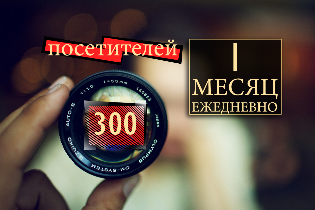 300 посетителей в день из Яндекса