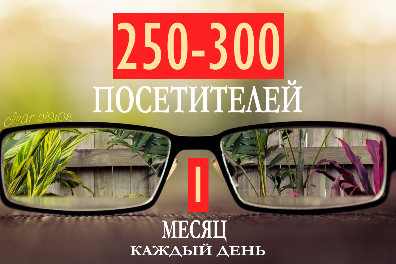 250-300 посетителей в день из Яндекса